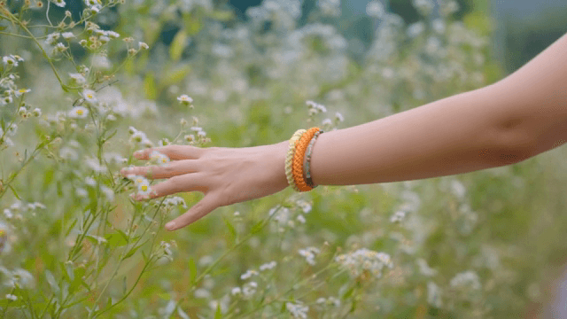 손이 야생화를 부드럽게 만지는 모습