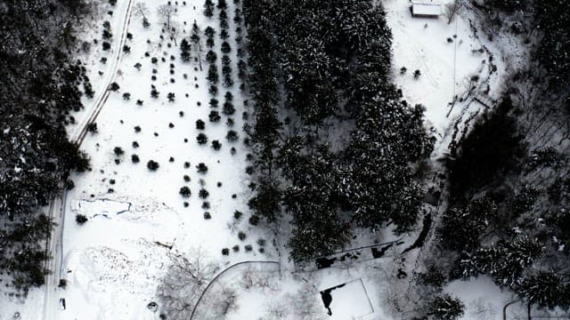 Scenery of snow-covered forest and temple