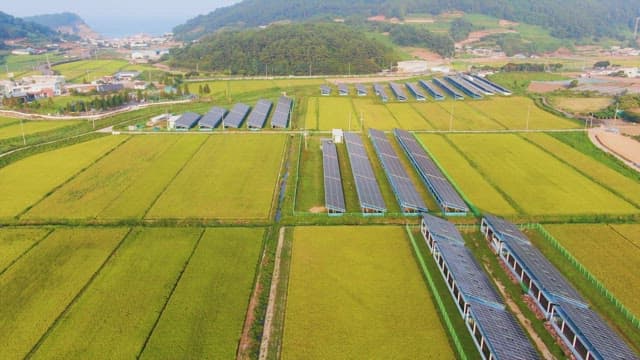 Solar panels and farmland in a rural area