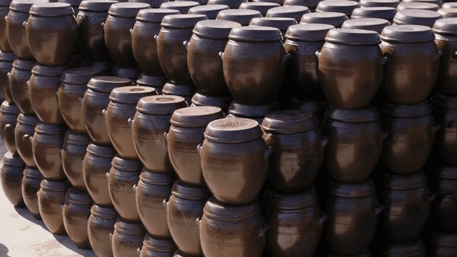 가지런히 진열되어 있는 전통 한국 항아리