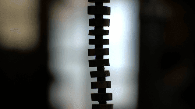 작업실의 나무 조각