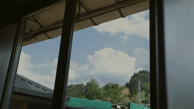 창문을 통해 본 하늘과 나무