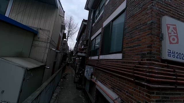 조용하고 정겨운 주택가의 좁은 골목길