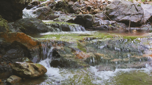 이끼 낀 바위를 흐르는 작은 계곡