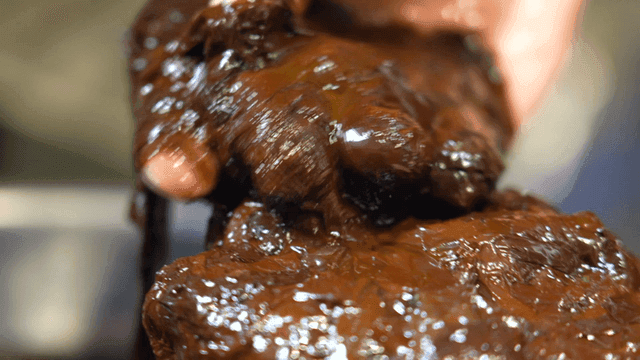 Fresh seaweed in hand