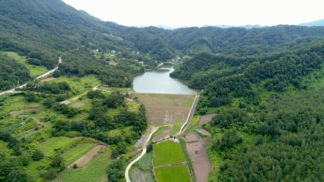 Serene Lake Surrounded by Forested Hills