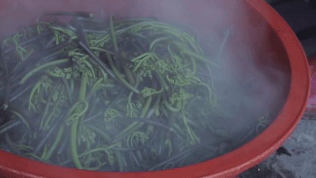 Steaming cooked bracken in a basin