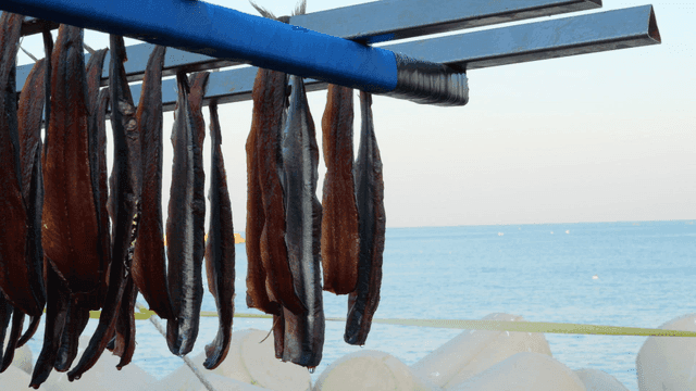 Drying Gwamegi by seaside on clear day