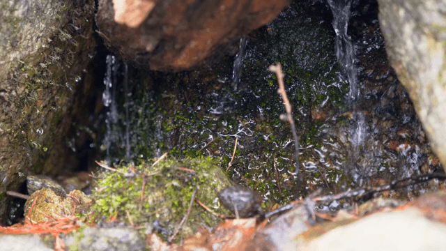 이끼 낀 바위를 흐르는 물