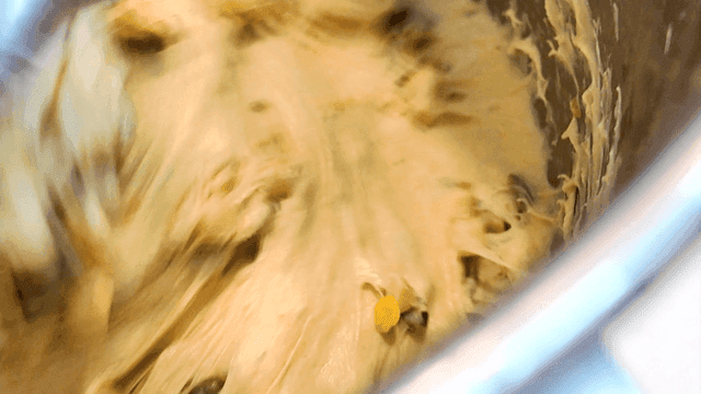 Dough mixed with raisins and nuts