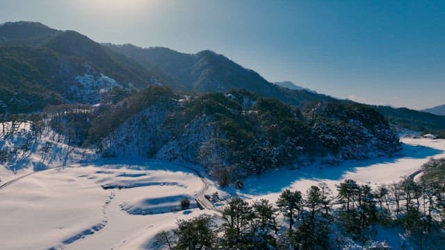 Winter Landscape with Snow-Covered Trees