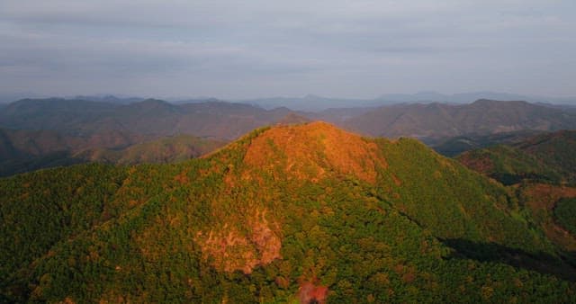 Autumn Foliage on Rolling Mountain Hills