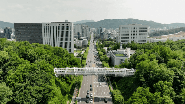 Bustling city harmoniously blended with greenery