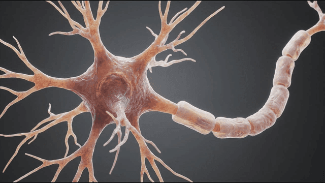 Detailed view of a neuron structure
