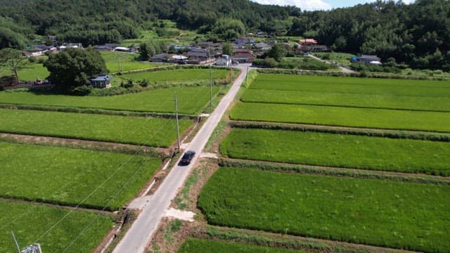 Rural village surrounded by green fields