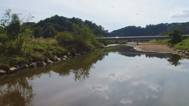 Calm river with a bridge and greenery