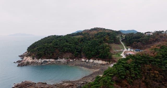 Serene Coastal Landscape with Forest and Sea