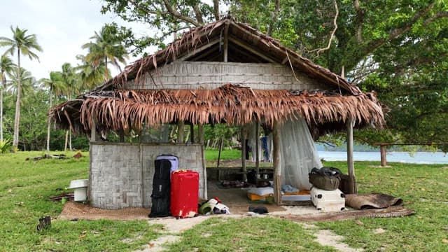 Small hut by the beach surrounded by palm trees