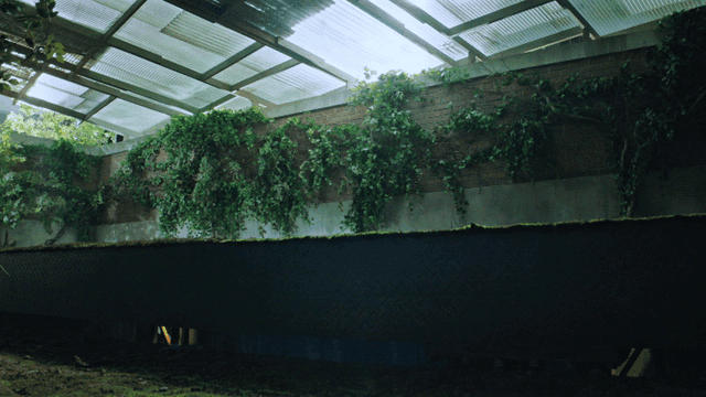 숨겨진 공간이 나오는 최첨단 실내 정원