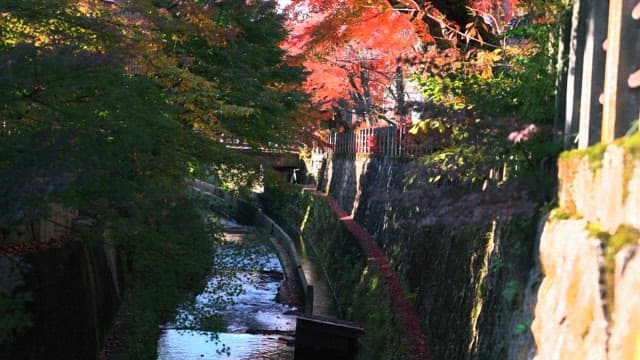 Canal Flowing through an Rich Autumnal Landscape