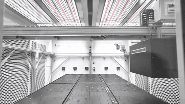 어린 식물이 있는 실내 스마트팜