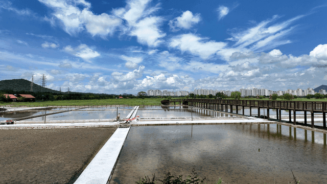 Salt fields under cloudy sky