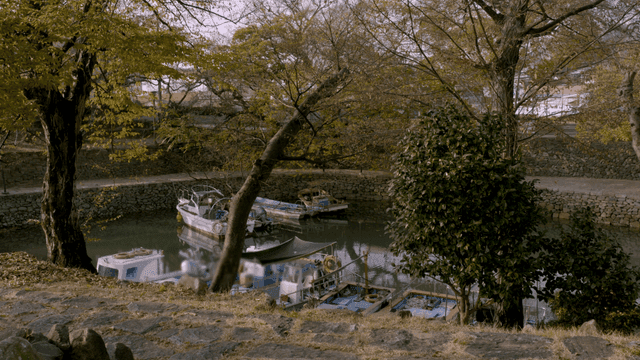 Boats docked by a serene riverside