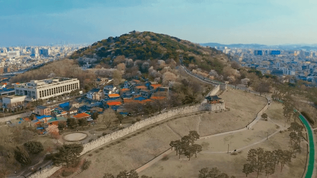 산과 수원화성이 있는 전경