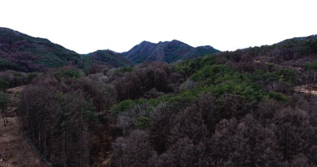 나무가 울창한 숲으로 덮인 고요한 산맥