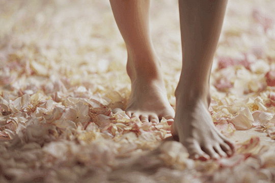 부드러운 꽃잎 위를 걷는 맨발