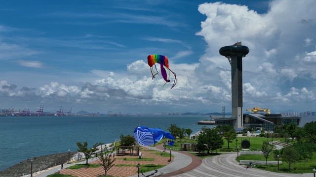 Kites flying over seaside park with city skyline