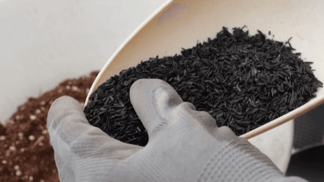 용기에 씨앗을 들고 있는 손