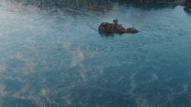 작은 섬이 있는 고요한 강