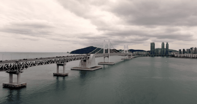 도시 풍경과 함께 바다를 가로지르는 대교