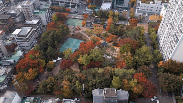Aerial view of a city park with autumn foliage