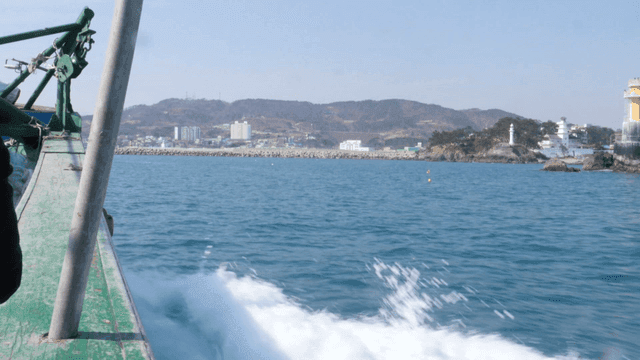 해안 도시 근처를 항해하는 배