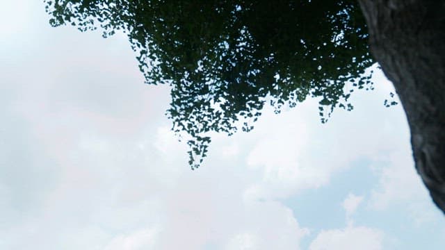 높은 건물과 나무가 있는 도시 풍경