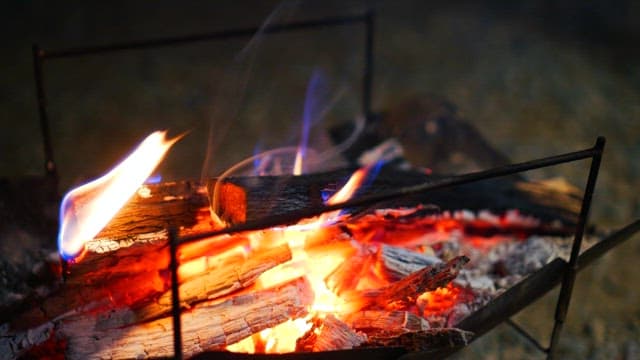 Firewood on the stove burning warmly with red and blue flames