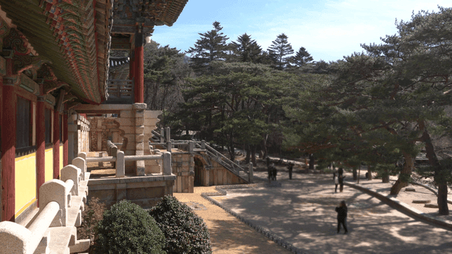 Traditional Korean temple with surrounding trees