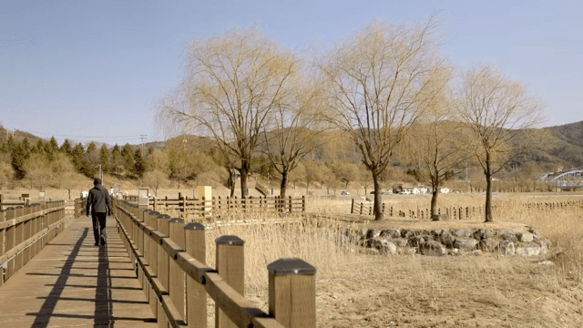 자연 속 나무길을 걷는 사람