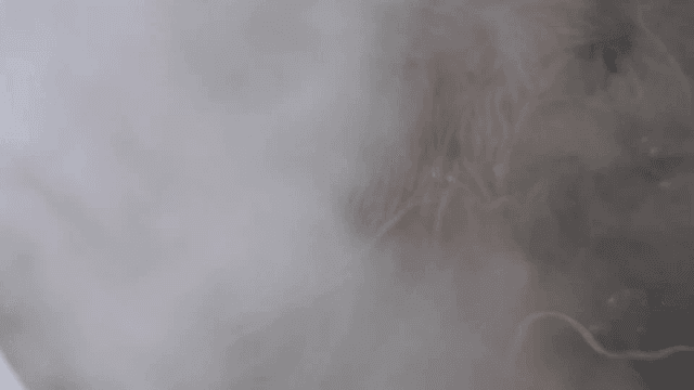 김이 나는 냄비에서 끓고 있는 국수