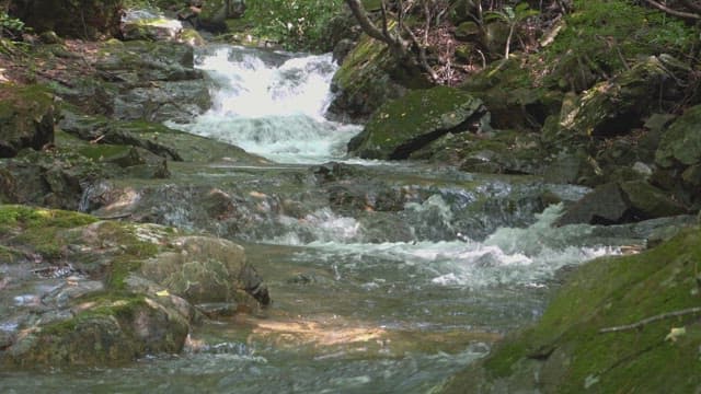 Valley water flowing down along the rocks