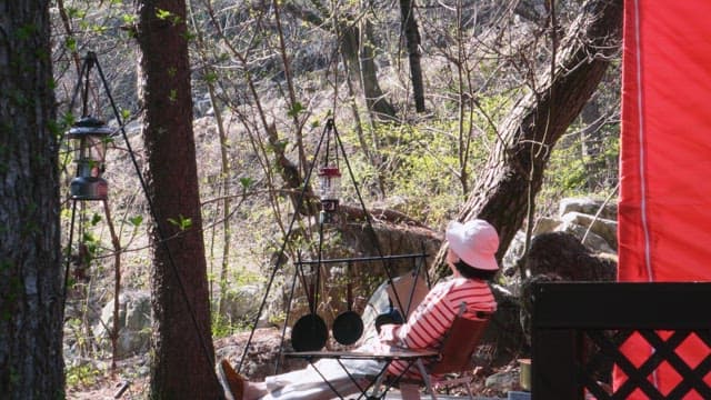 Person resting at a forest campsite in the middle of the day