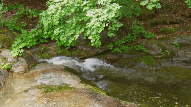 바위를 흐르는 작은 시냇물