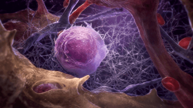 Detailed view of a biological cell structure