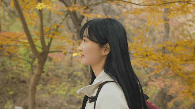 가을 단풍이 든 숲에서 걷는 여성