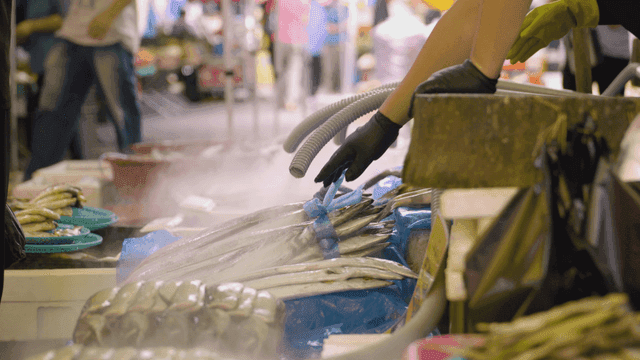 Fresh fish displayed in market