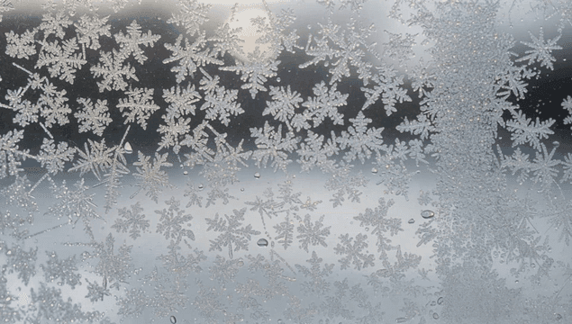 창문에 맺힌 복잡한 서리 패턴