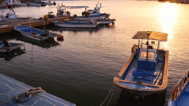 Boats docked at a serene harbor during sunset