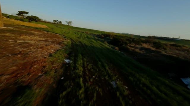 파란 하늘 아래 광활한 녹색 들판